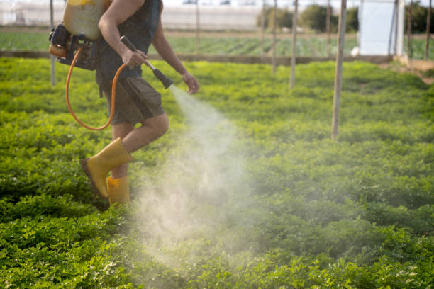 Best Exterminator Services  in Neodesha, KS