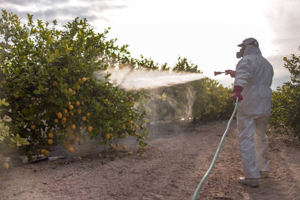 Best Wasp Removal Services  in Neodesha, KS